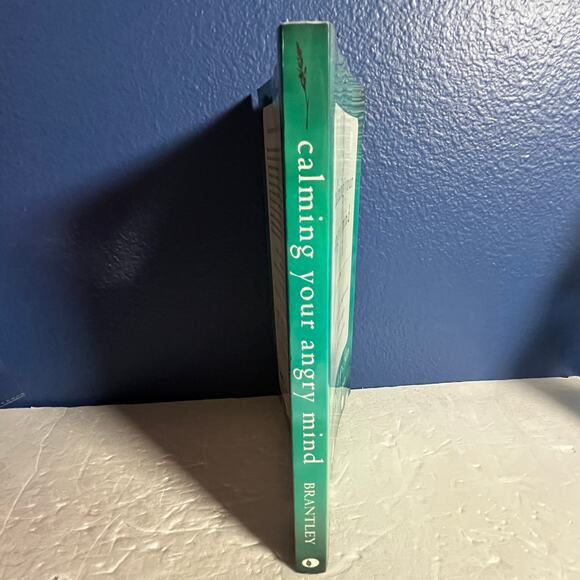 Calming Your Angry Mind: How Mindfulness & Compassion Can Free You from Anger - Picture 3 of 7